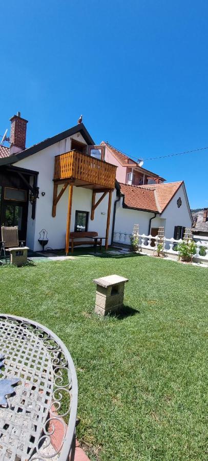 Innenstadtgarten-Wohnung Wolfsberg Extérieur photo