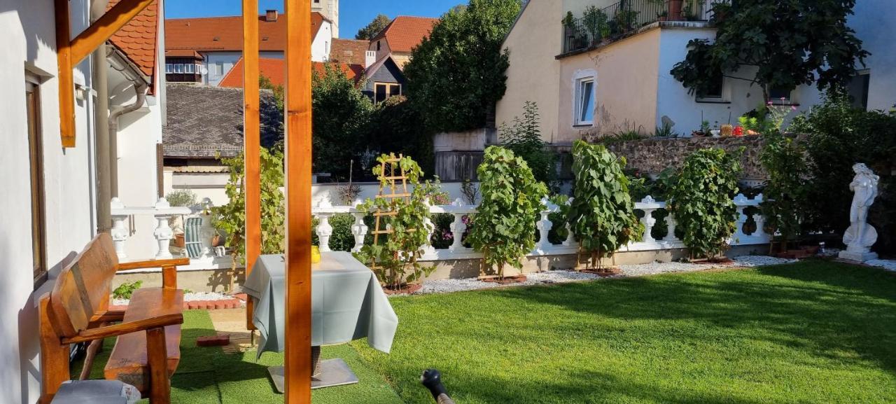 Innenstadtgarten-Wohnung Wolfsberg Extérieur photo