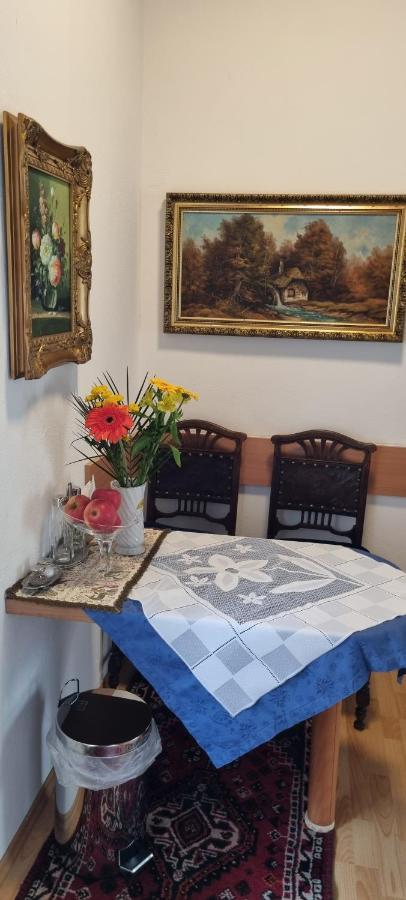 Innenstadtgarten-Wohnung Wolfsberg Extérieur photo